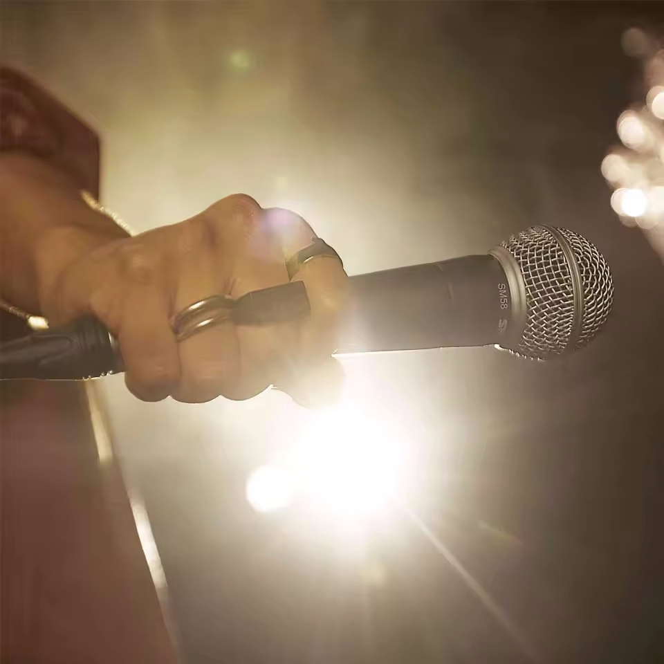 Karaoke Dynamic Microphone Pro - Gaming Console Sale recension och pris